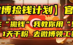 【微博捡钱计划】官方正在“撒钱”,我教你用“野路子”1天千粉,去微博领工资!