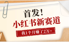 【首发】小红书全新赛道,我自己靠这个项目上个月收益2W+