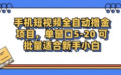 手机短视频全自动撸金项目,单窗口5-20可批量适合新手小白