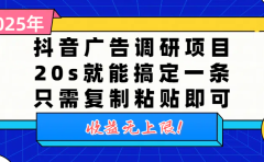 抖音广告调研项目,20s就能搞定一条,只需复制粘贴即可,收益无上限