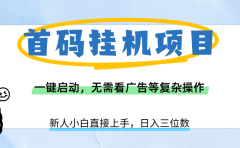 首码挂机项目,一键启动,无需看广告等复杂操作,新手小白日入三位数