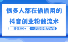 很多人都在偷偷用的抖音创业粉截留术,日引300+,一步到位引流到私域