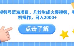 视频号蓝海项目,几秒生成火爆视频,手机操作,日入2000+vv