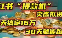 2025年,我发现一个小红书“提款机”:靠卖虚拟资料,92天搞定16万,这个模式30天就能跑通!