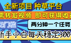 全新项目 种草平台 只需要转发任务视频 即可获得收益 新手小白每天稳定300+