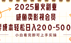 2025最火副业闲鱼卖vip影视会员,零成本日入200-500
