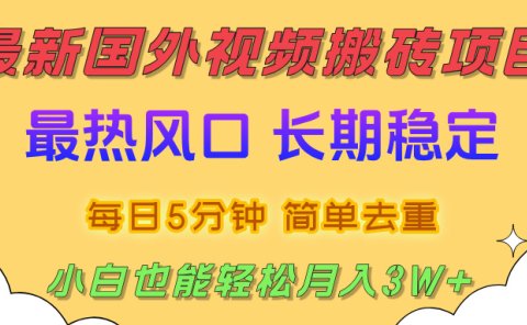 国外视频搬砖项目,2025最新热门风口,简单去重剪辑,小白也能轻松月入3W+