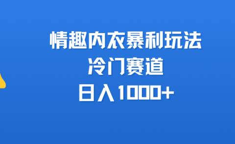 情趣内衣暴利玩法,冷门赛道,日入1000+