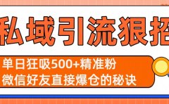 私域引流狠招:单日狂吸500+精准粉,微信好友直接爆仓的秘诀