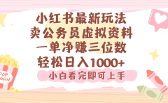 小红书,卖公务员虚拟资料,一单净赚100,日入1000+