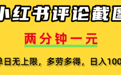 小红书评论区评论截图,一分钟2条,日入几千,多劳多得