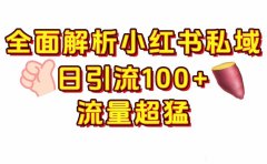 小红书私域引流 每天加100+