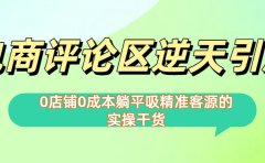 0店铺0成本!电商评论区逆天引流,躺平吸精准客源的实操干货【下面那个简介错了】