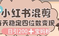 价值 3980 的小红书混剪, 虚拟变现,日引 200+宝妈创业粉,每天稳定四位数变现