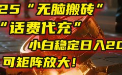 无脑搬砖项目:靠“话费代充”,小白稳定日入200+,可矩阵放大!