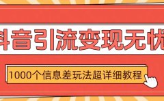 抖音引流变现无忧:1000个信息差玩法超详细教程