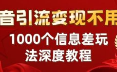 抖音引流变现不用愁:1000个信息差玩法深度教程