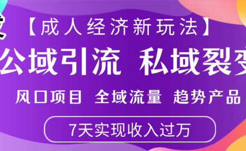 首发:【成人经济新玩法】市面独家玩法,风口项目、全域流量、趋势产品,7天实现月入过万