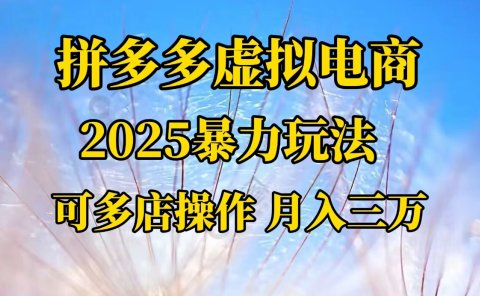 拼多多虚拟电商，不囤货不垫资的虚拟电商
