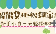 智能货柜视频审核,几秒一单,多劳多得,新人小白一天轻松 300+,零门槛!