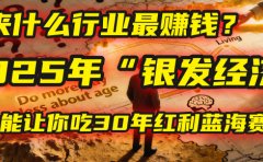 未来什么行业最赚钱?马哥揭秘2025年“银发经济”:一个能让你吃30年红利的蓝海赛道!