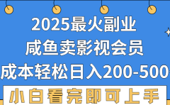 2025最火副业,闲鱼卖vip影视会员,零成本日入200-500