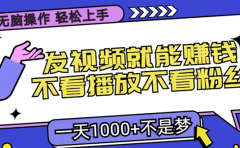 只要发视频就能赚钱?不看播放不看粉丝,无脑操作,小白轻松上手,一天1000+