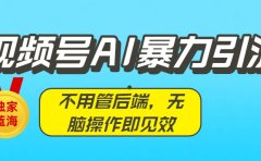 独家蓝海!视频号AI暴力引流:不用管后端,无脑操作即见效