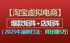 【淘宝虚拟项目】2025牛X新打法:爆款矩阵+店矩阵,月狂赚5万