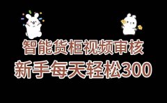 《智能货柜视频审核,几秒一单,多劳多得,新人小白一天轻松 300+,零门槛》