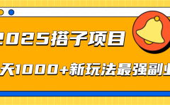 2025搭子项目每天1000+新玩法最强副业