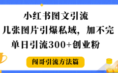 小红书图文引流,几张图片引爆私域加不完,单日引流300+创业粉