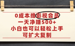 亲测，0成本可批量操作，靠卖影视会员实测月入30000+