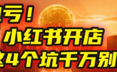 【亲测】小红书的这个赛道，简直就是流量天花板，我这个月已经赚2W+（附带教程）