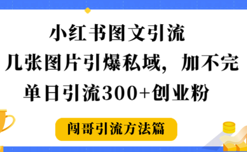 小红书图文引流,几张图片引爆私域加不完,单日引流300+创业粉