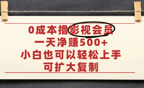 亲测，0成本可批量操作，靠卖影视会员实测月入30000+