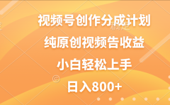 视频号创作分成计划，纯原创视频告收益，新手小白轻松上手，日入800+