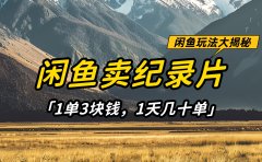 闲鱼卖纪录片1单3块钱，1天几十单，项目稳定有潜力