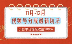 11月~12月视频号分成最新玩法，小白单日轻松收益1000+！
