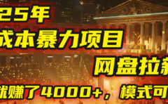 2025年，一个0成本的暴力项目，靠网盘拉新，有人一天就赚了4000+，模式可复制！