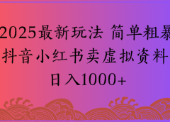 2025最新玩法，简单粗暴通过抖音小红书卖虚拟资料日1000+