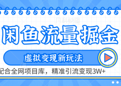 咸鱼配合全网项目库-流量掘金虚拟变现新玩法，精准引流变现2W+