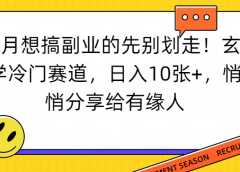 想搞副业的先别划走！玄学冷门赛道，日入10张+，悄悄分享给有缘人