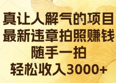 真让人解气的项目，最新违章拍照赚钱，随手一拍，轻松收入3000+
