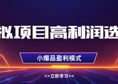 淘宝虚拟店铺，高利润玩法，高客单选品技巧，单店月入1W+