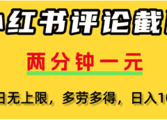 小红书评论区评论截图，一分钟2条，可日入几千，多劳多得