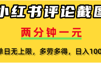 小红书评论区评论截图，一分钟2条，可日入几千，多劳多得