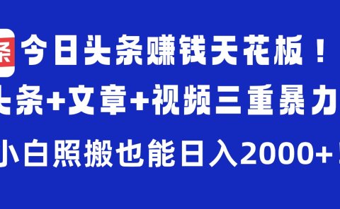 今日头条赚钱天花板!微头条+文章+视频三重暴力玩法,小白照搬也能日入2000+