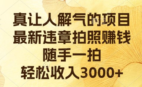 真让人解气的项目,最新违章拍照赚钱,随手一拍,轻松收入3000+
