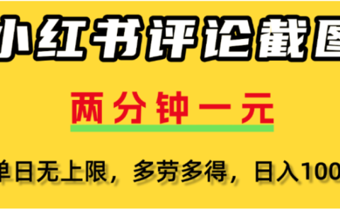 小红书评论区评论截图，一分钟2条，可日入几千，多劳多得